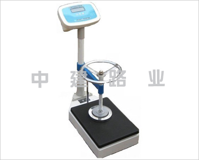 ZRY-II型集料软弱颗粒试验仪